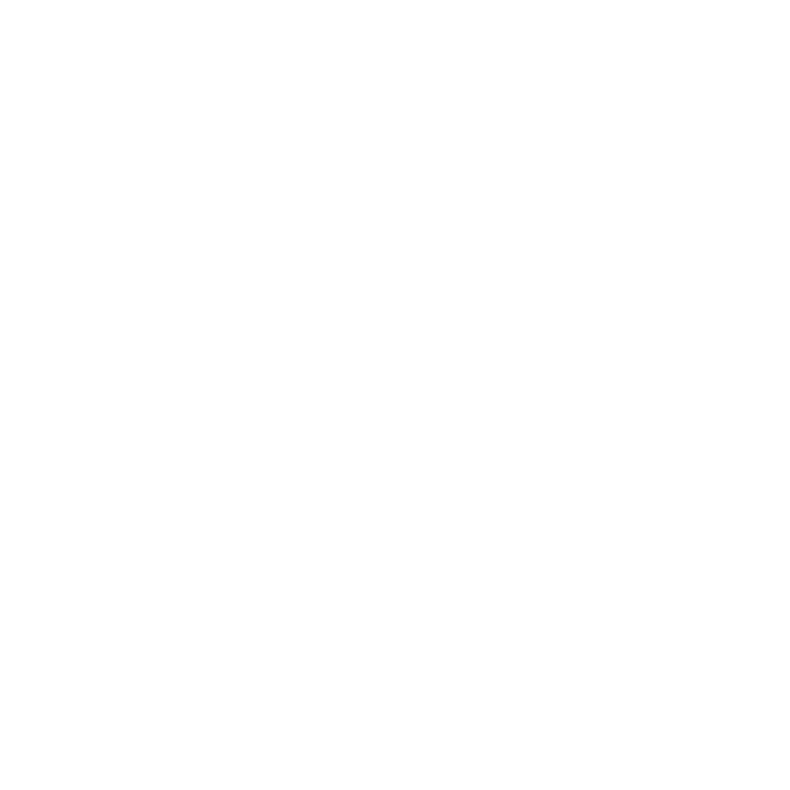ChatWallet icon